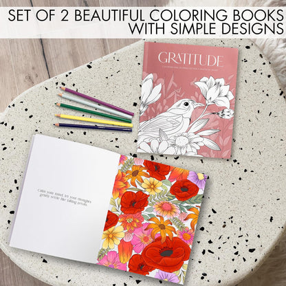 Beautiful Adult Coloring Book Set of 2 for Women - Gratitude and Mindfulness Books